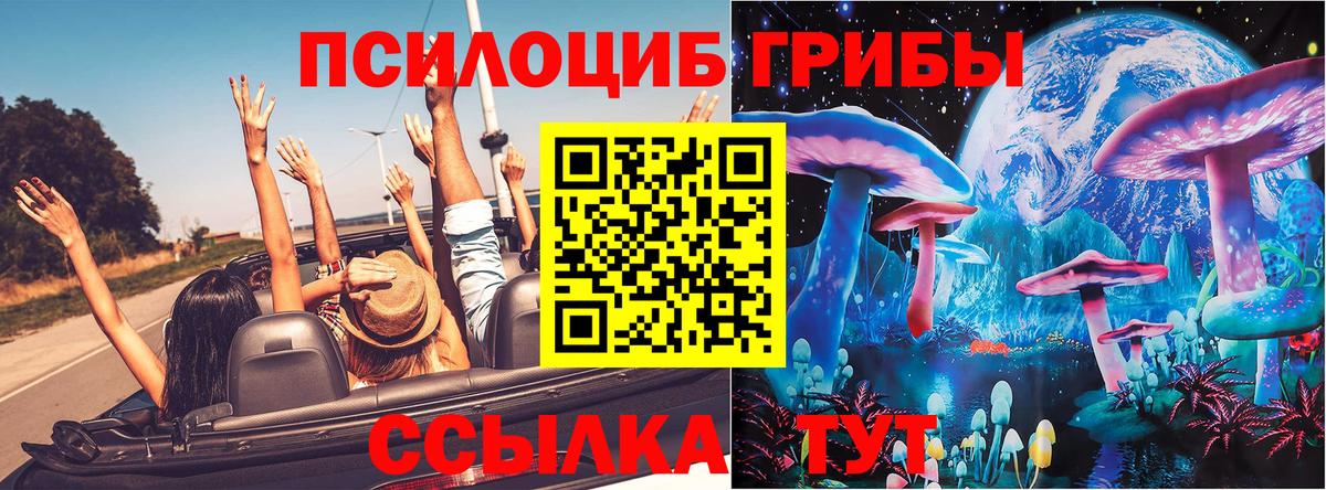 Чапаевск  Псилоцибиновые грибы Psilocybe  Вход с VPN  Псилоцибиновые грибы мухоморы 